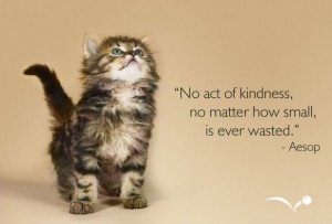 Kindness